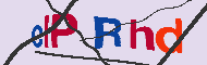 Codice captcha